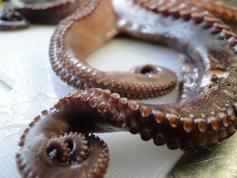 Restaurant Gläcktricka Bettmeralp