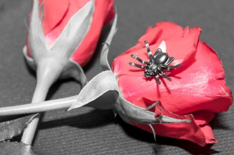 Restaurant Gläcktricka Bettmeralp